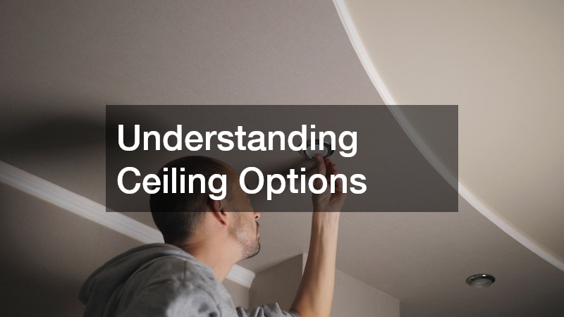 Understanding Ceiling Options