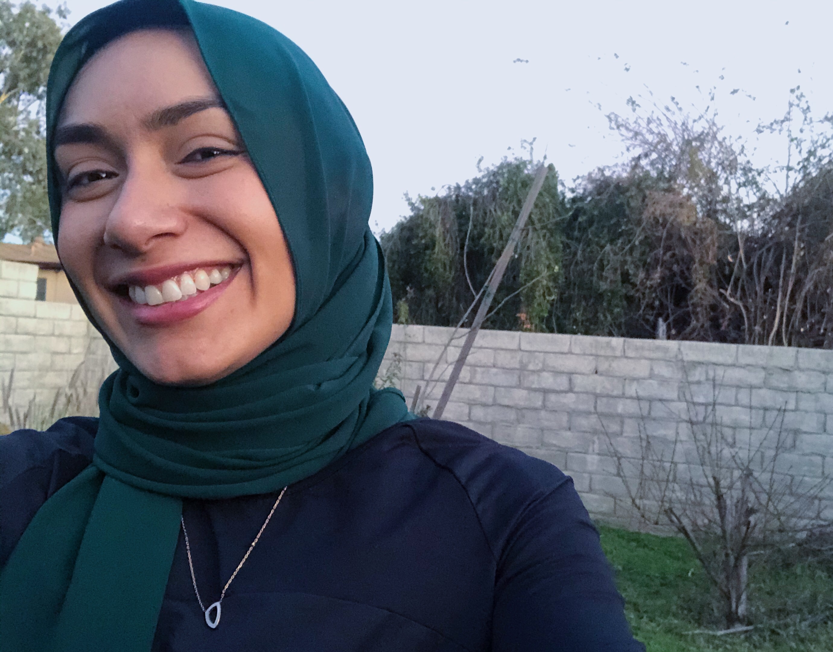 Wendy Mohammed's Reflection on Surah AlGhaashiya18 20 QuranReflect