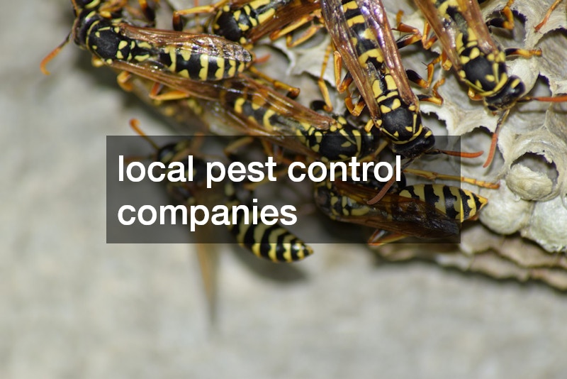 local pest control companies