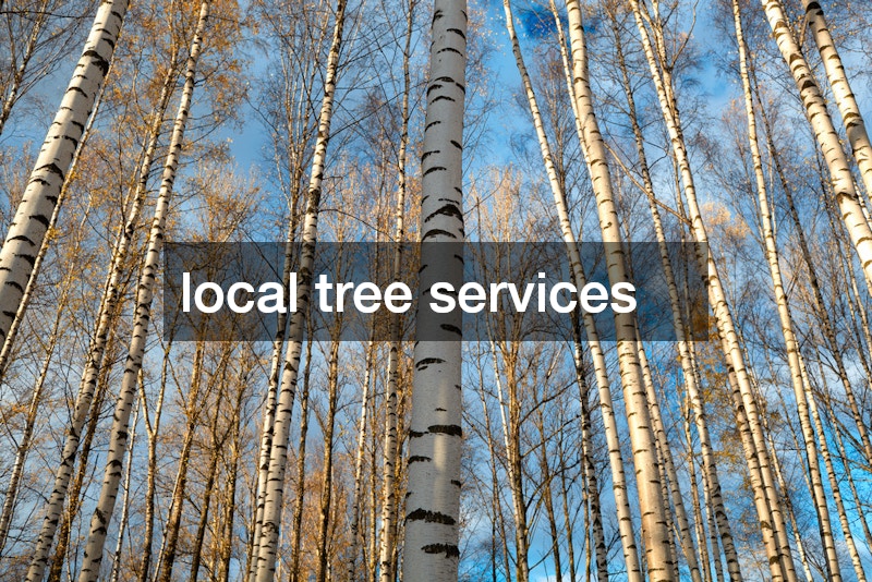 local tree services