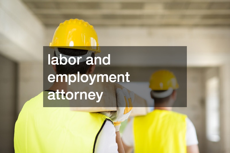 labor and employment attorney