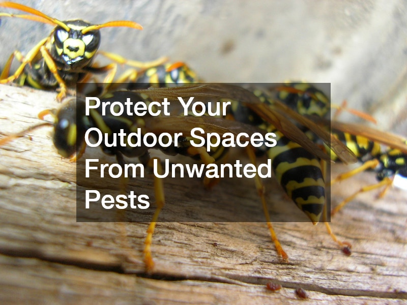 Protect Your Outdoor Spaces From Unwanted Pests