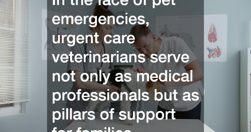In the face of pet emergencies, urgent care veterinarians serve not only as medical professionals but as pillars of support for families.