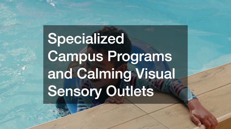 Specialized Campus Programs and Calming Visual Sensory Outlets