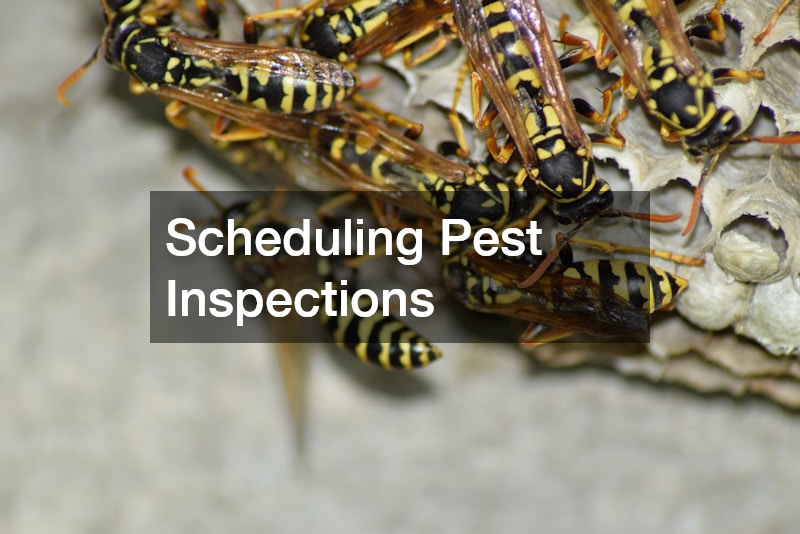 Scheduling Pest Inspections