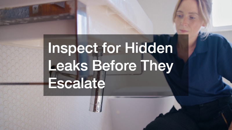 Inspect for Hidden Leaks Before They Escalate