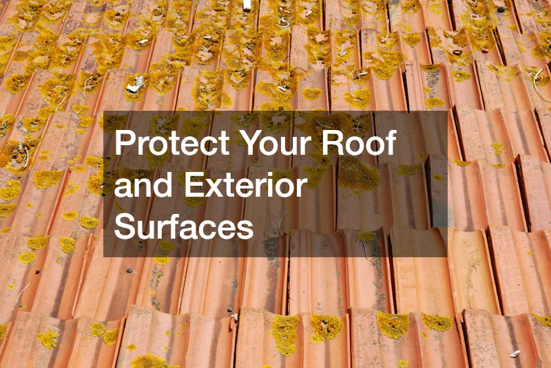Protect Your Roof and Exterior Surfaces