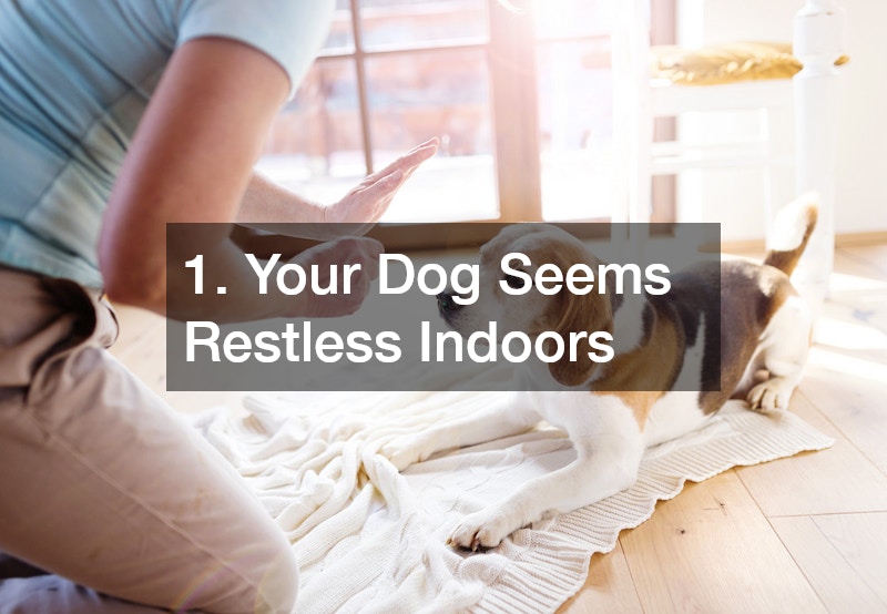 1. Your Dog Seems Restless Indoors