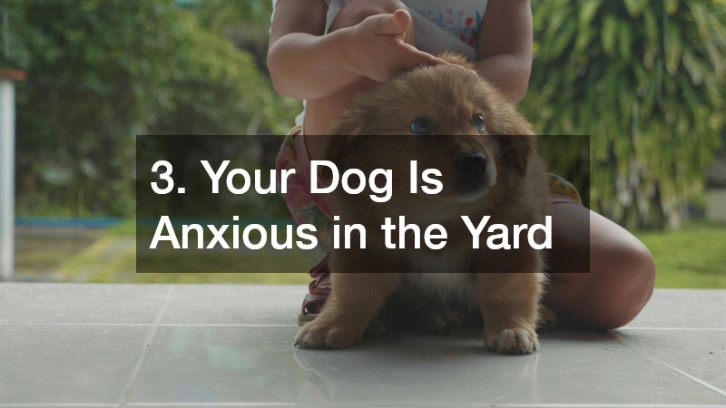 3. Your Dog Is Anxious in the Yard