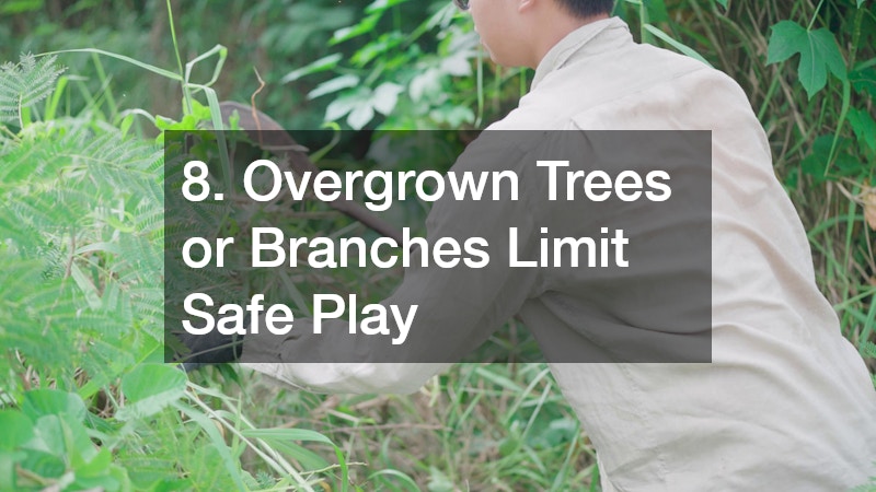 8. Overgrown Trees or Branches Limit Safe Play