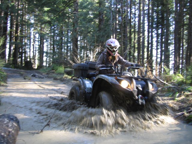 medium.58898c5c4cde2_Quading20Feb10033.j