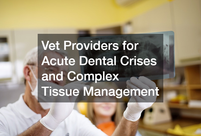 Vet Providers for Acute Dental Crises and Complex Tissue Management