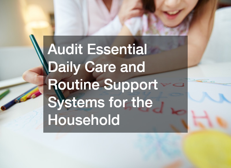 Audit Essential Daily Care and Routine Support Systems for the Household