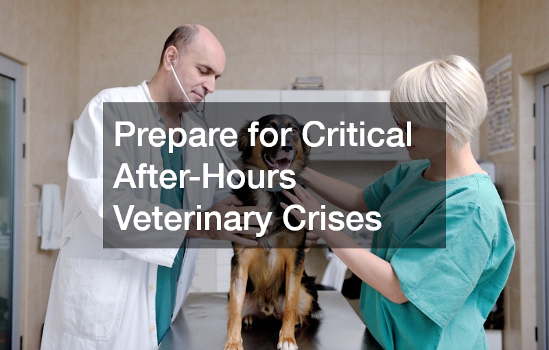 Prepare for Critical After-Hours Veterinary Crises