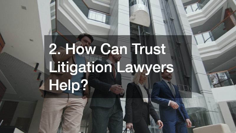 2. How Can Trust Litigation Lawyers Help?