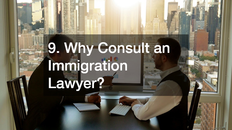 9. Why Consult an Immigration Lawyer?
