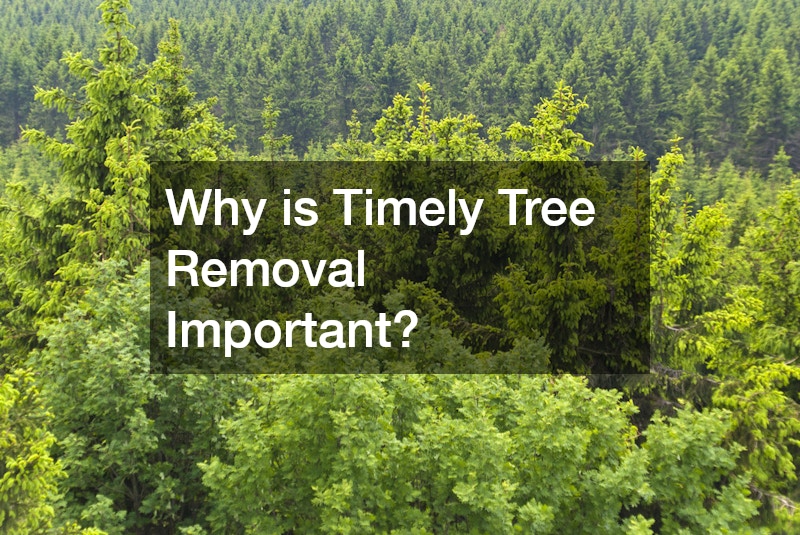 Why is Timely Tree Removal Important?