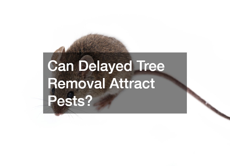 Can Delayed Tree Removal Attract Pests?