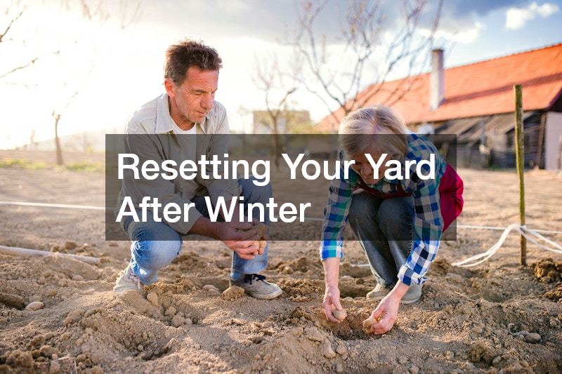 Resetting Your Yard After Winter