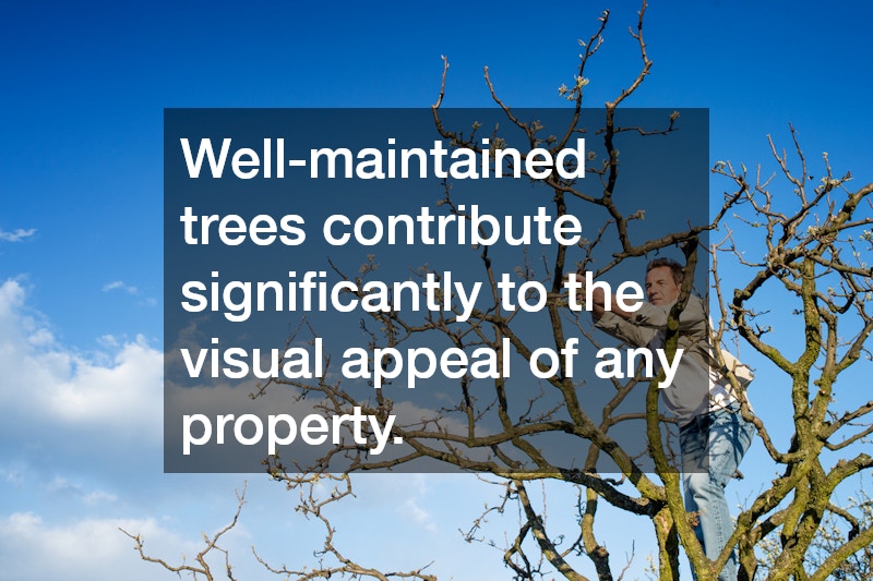 Well-maintained trees contribute significantly to the visual appeal of any property.