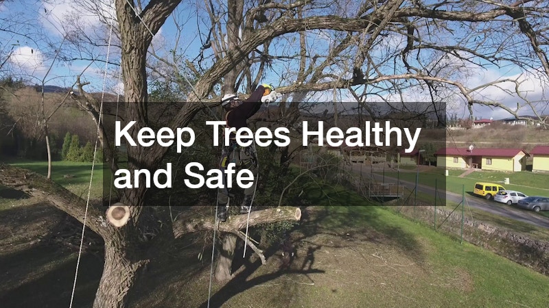 Keep Trees Healthy and Safe