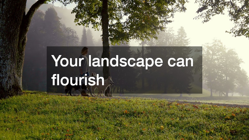 Your landscape can flourish