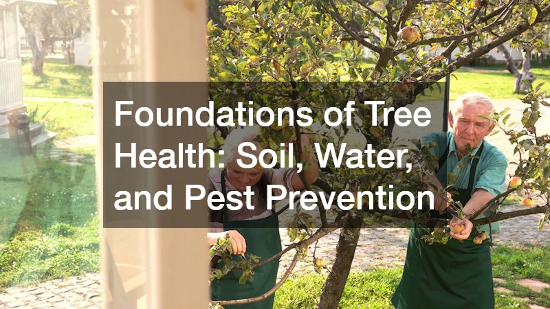 Foundations of Tree Health: Soil, Water, and Pest Prevention