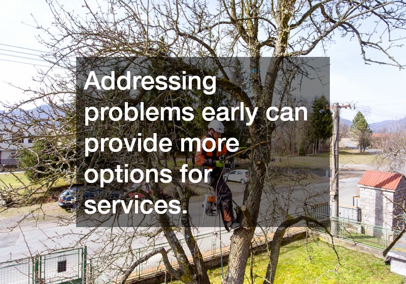 Addressing problems early can provide more options for services.