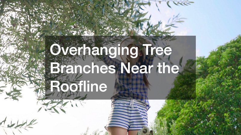 Overhanging Tree Branches Near the Roofline