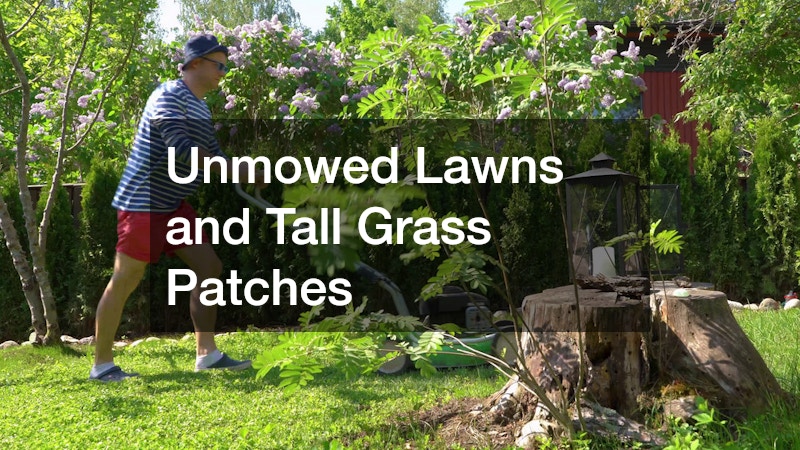 Unmowed Lawns and Tall Grass Patches