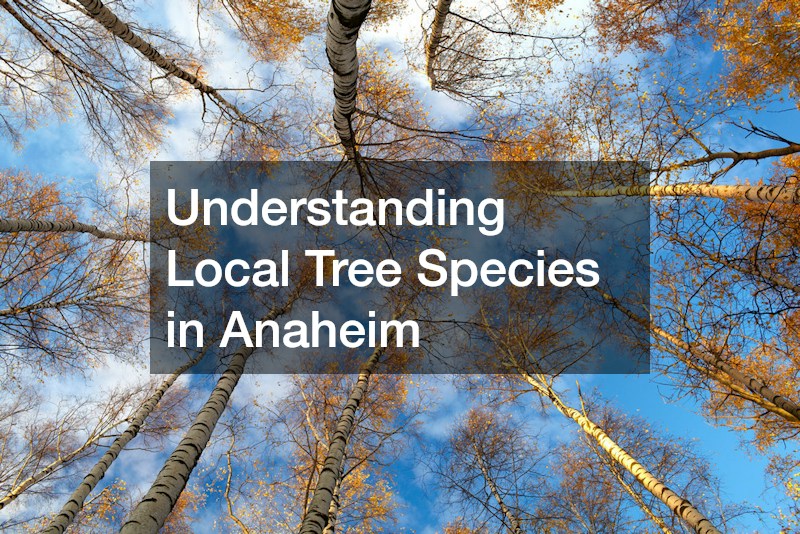 Understanding Local Tree Species in Anaheim