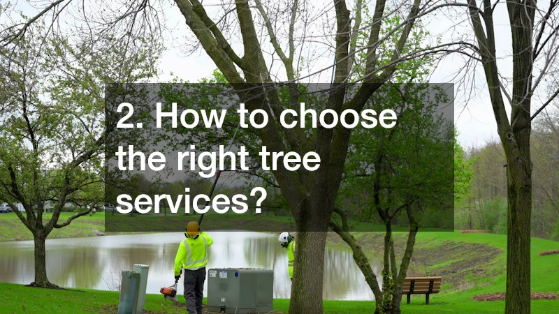 2. How to choose the right tree services?