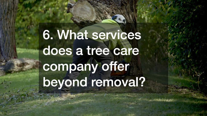 6. What services does a tree care company offer beyond removal?