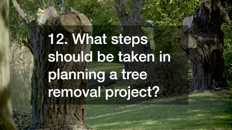 12. What steps should be taken in planning a tree removal project?