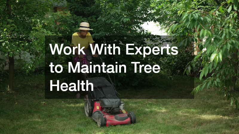 Work With Experts to Maintain Tree Health