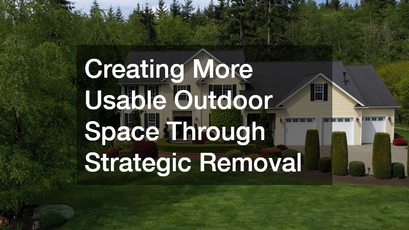 Creating More Usable Outdoor Space Through Strategic Removal