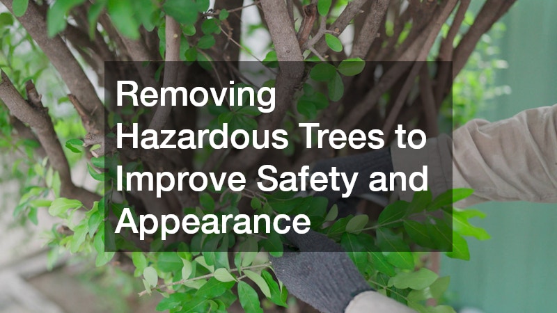 Removing Hazardous Trees to Improve Safety and Appearance