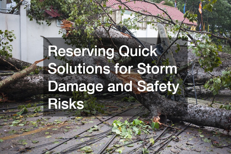 Reserving Quick Solutions for Storm Damage and Safety Risks