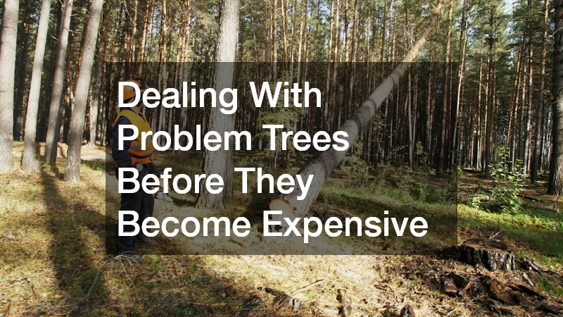 Dealing With Problem Trees Before They Become Expensive