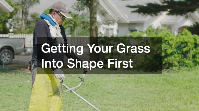 Getting Your Grass Into Shape First