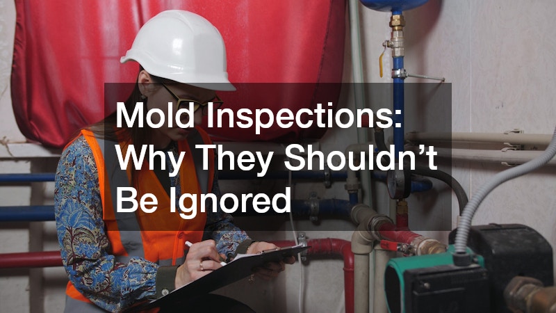 Mold Inspections: Why They Shouldn’t Be Ignored