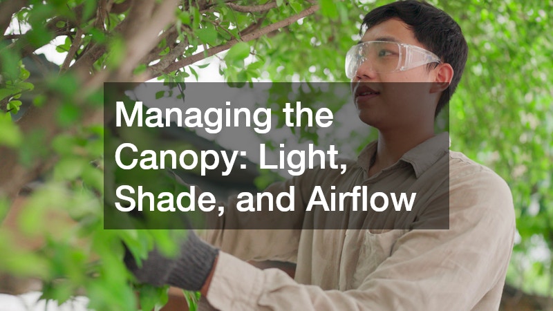 Managing the Canopy: Light, Shade, and Airflow