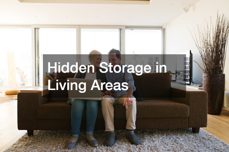 Hidden Storage in Living Areas