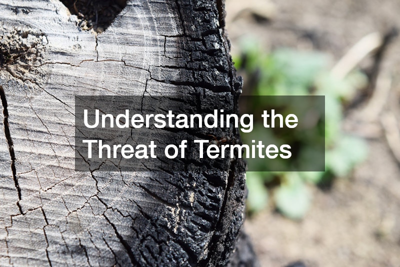Understanding the Threat of Termites