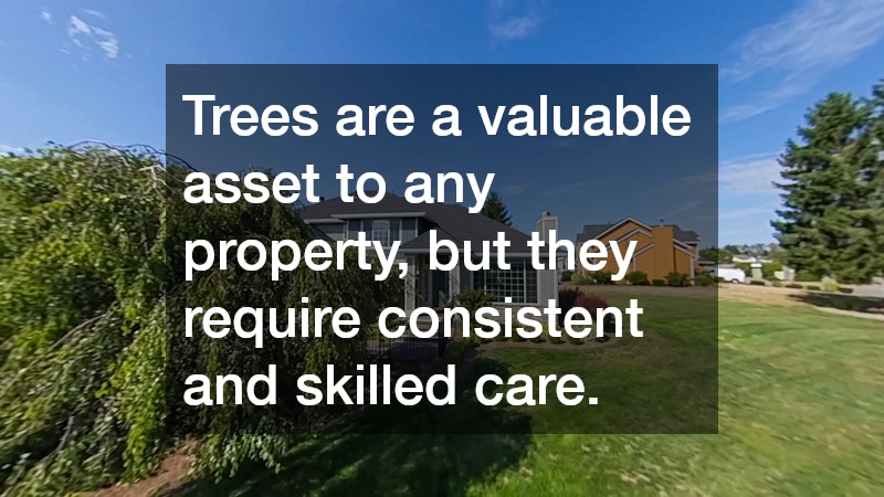 Trees are a valuable asset to any property, but they require consistent and skilled care.