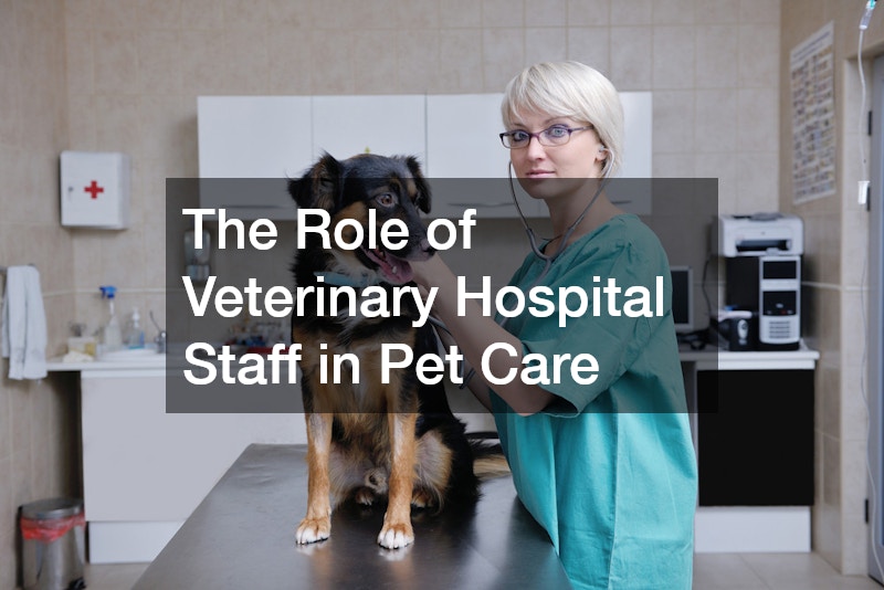 The Role of Veterinary Hospital Staff in Pet Care