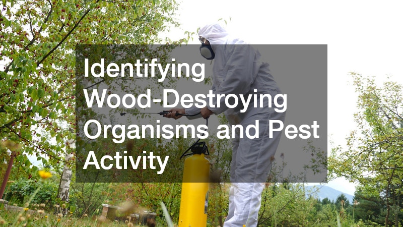 Identifying Wood-Destroying Organisms and Pest Activity