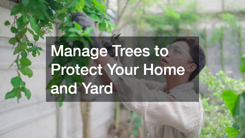 Manage Trees to Protect Your Home and Yard