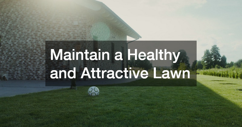 Maintain a Healthy and Attractive Lawn