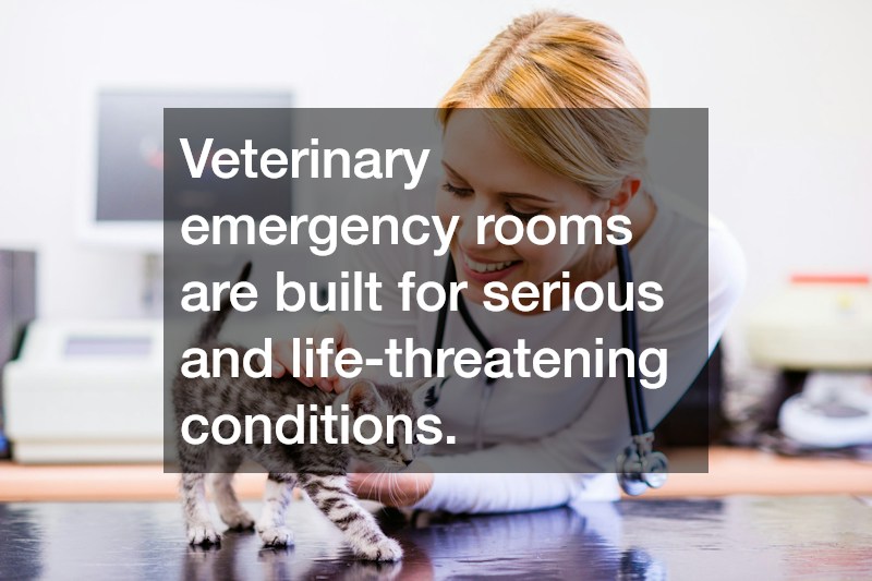 Veterinary emergency rooms are built for serious and life-threatening conditions.